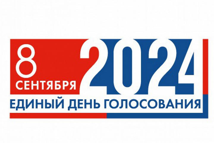 Прозрачность и справедливость выборов на Дону обеспечат общественные наблюдатели